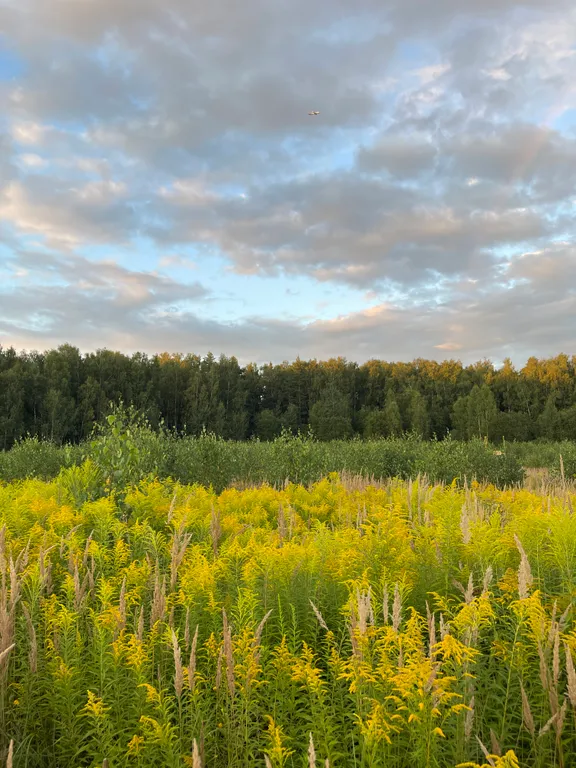 Уютный дом без суеты  от Дом Шелуха (Sheluha House)