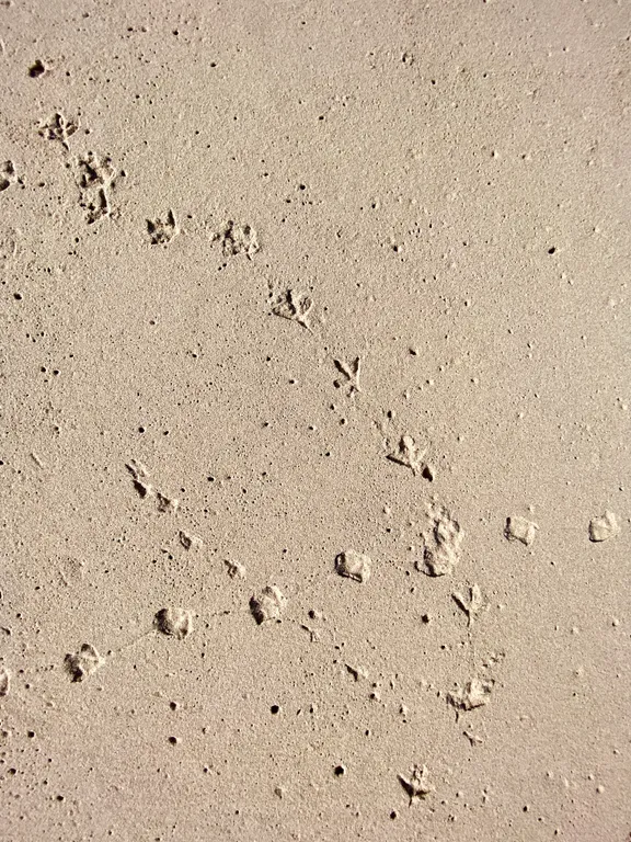 Квартира Квартира Апартамент Orange — Светлогорск