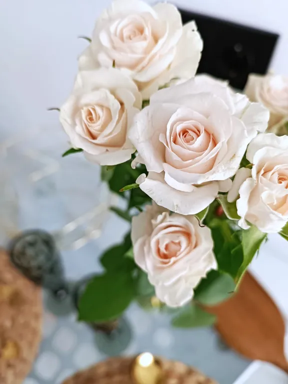 Квартира 1-комнатная Квартира — Калининград