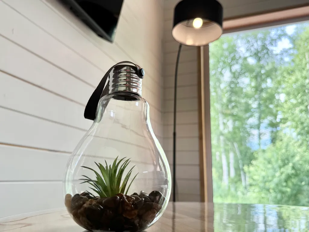 Дом в эко стиле с мангалом и видом на лес