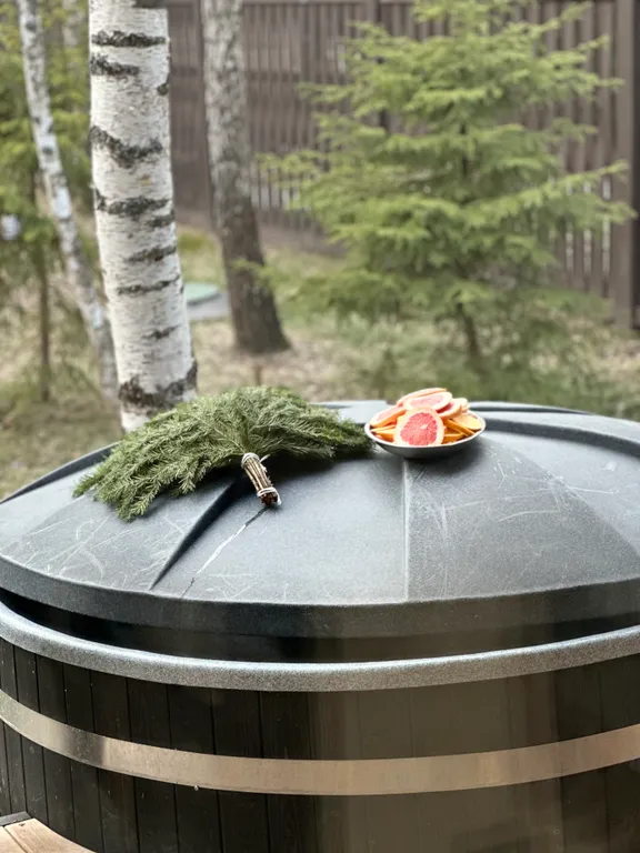 Дом с панорамной сауной, купелью на закрытом лесном участке