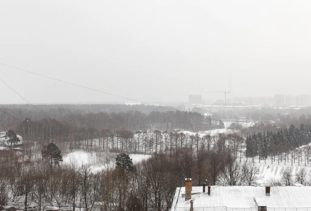 Квартира Дизайнерские апартаменты Forest View с видом на Останкинскую телебашню — Москва