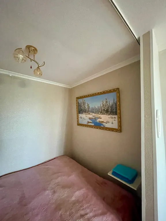 Уютная однокомнатная квартира