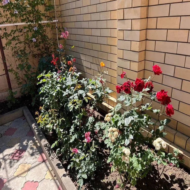 Квартира Квартира Семейный двухкомнатный номер, стандарт — Анапа