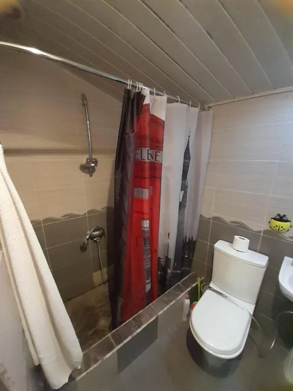 Трёхкомнатная квартира с терассой