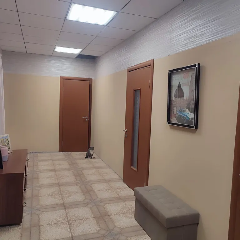 Апартаменты с видом на море