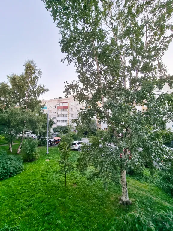 Уютная двухкомнатная квартира