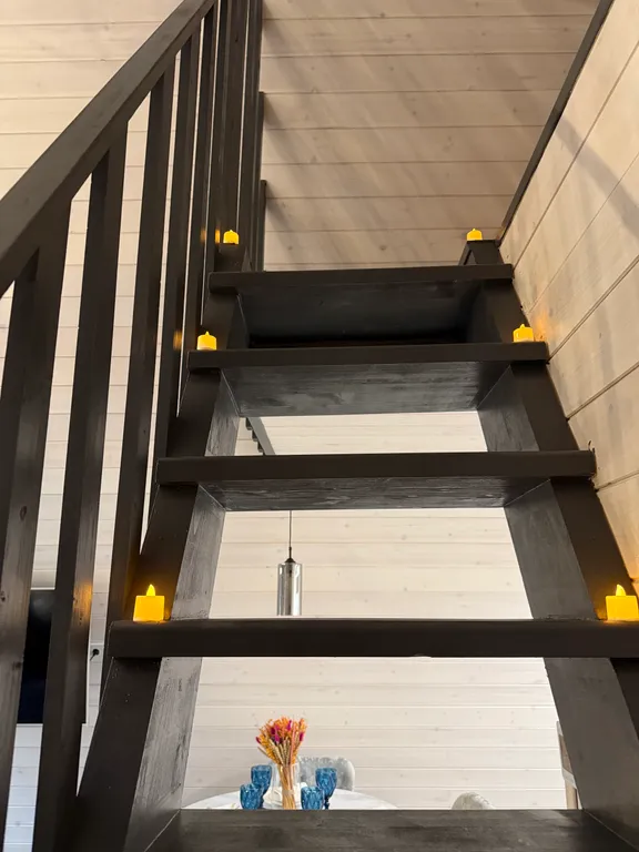 Звезды Леса