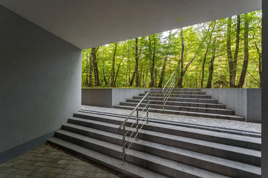 Апартаменты в сосновом лесу у моря