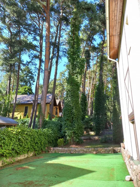 Четырёхкомнатный номер улучшенный