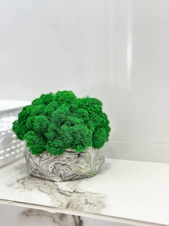 Квартира Квартира Апартамент с бассейном — Сочи