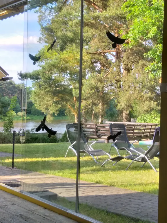 Апартаменты на Немане