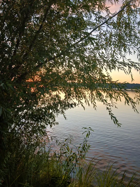 Домик у реки