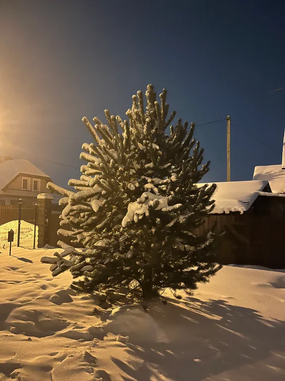 Коттедж Коттедж рядом с лесом и озером и баней — Манушкино