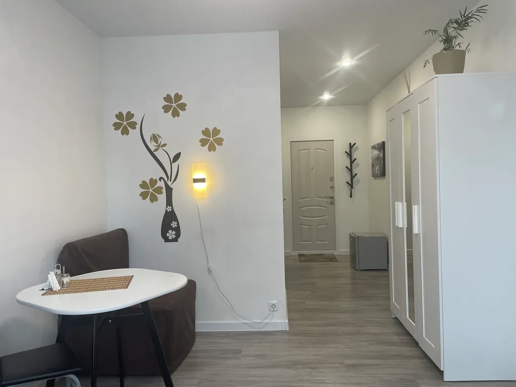 Просторная квартира-студия с отдельной кухней