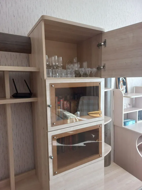 Квартира Просторная квартира около парка и института Турнера — Пушкин