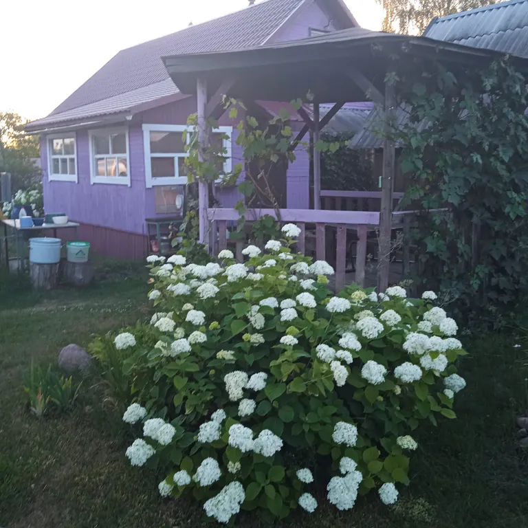 Коттедж Домик для отдыха и рыбалки — аренда посуточно в Осташков (Селигер)