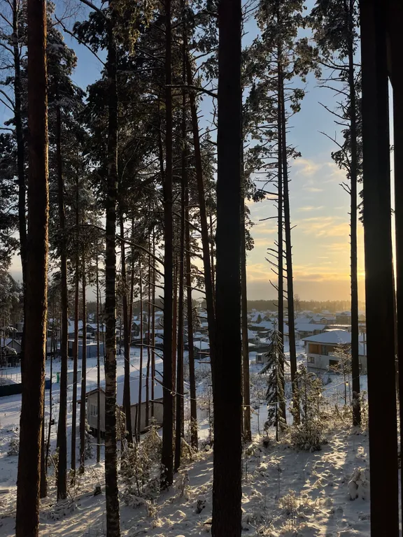 A-frame у Финского Залива посреди Корабельных сосен