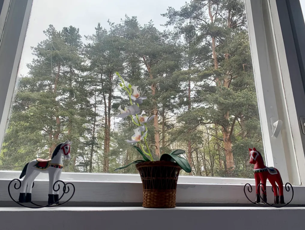 Квартира сосны