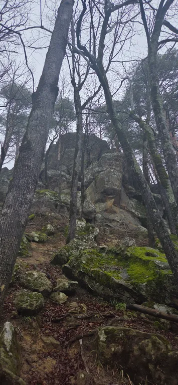 Прекрасная база отдыха в горах "Дубровский клуб"