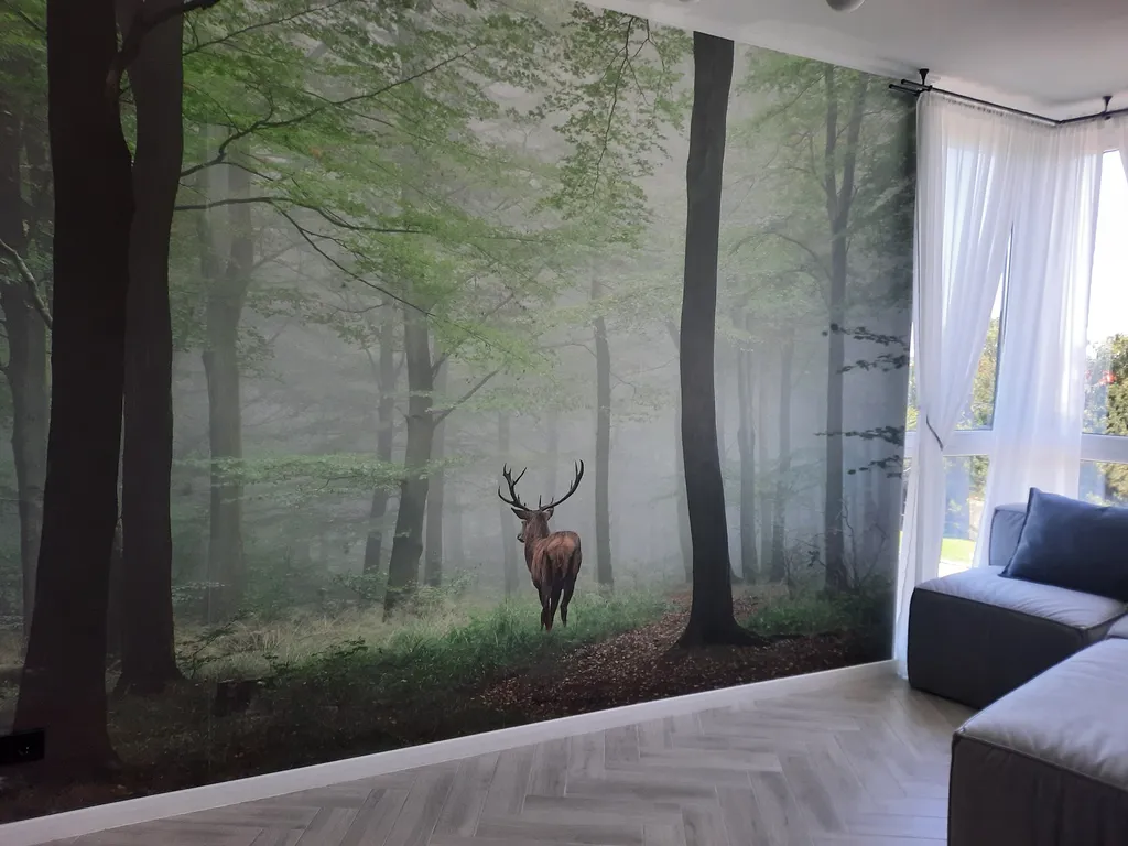 Квартира Квартира в гармонии с природой — Светлогорск