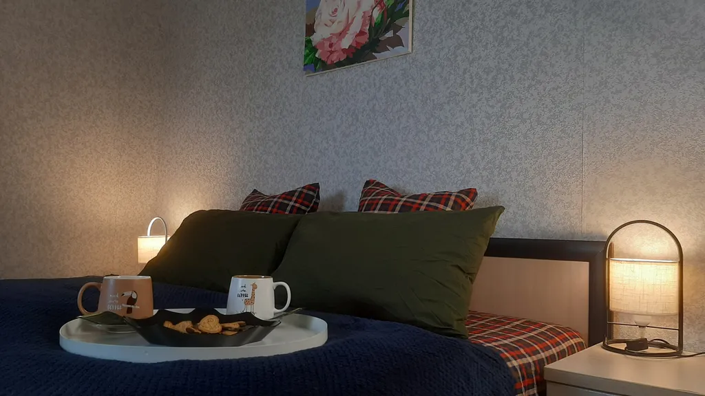 Зеркальная квартира в 20 минутах от Невского проспекта