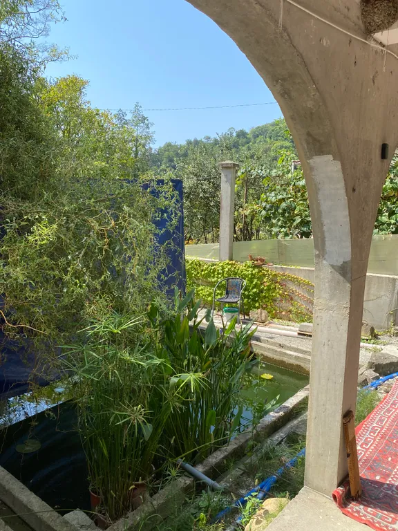 Коттедж Летний дом в зеленом окружении — Сочи