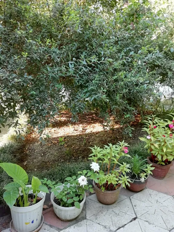 Коттедж Коттедж в 7 минутах от моря — Лазаревское