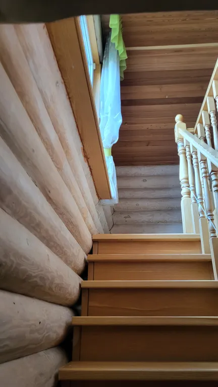 Уютный дом на побережье, на опушке соснового бора