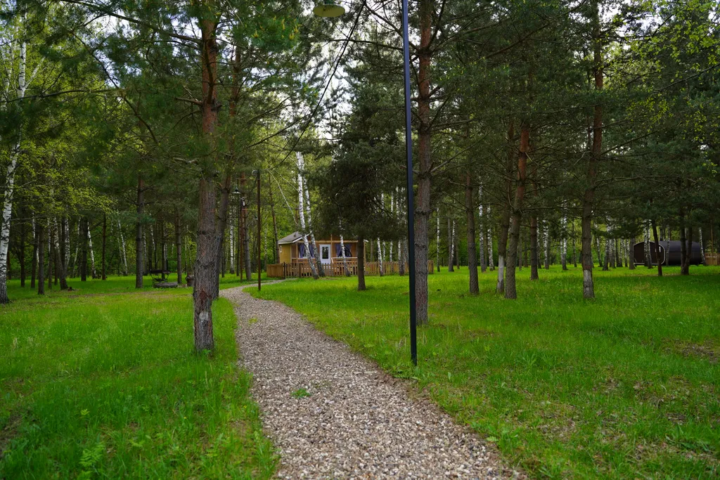 Отдых в лесу с баней и горячим чаном