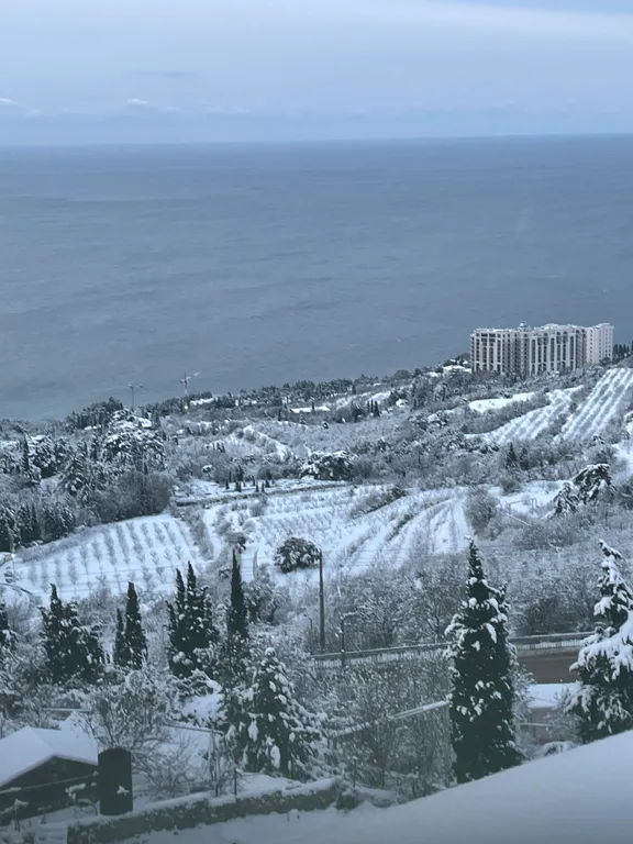 Можжевеловая роща