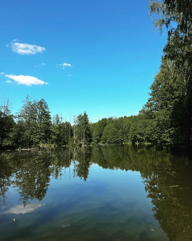Дом с купелью на берегу реки