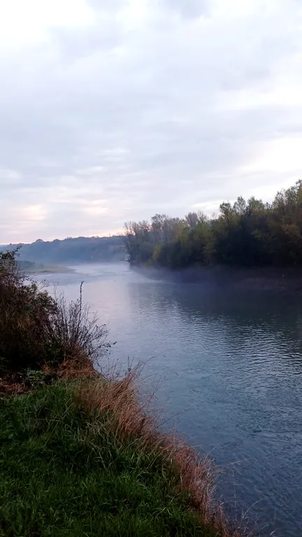 Гостевой домик " белый лис"