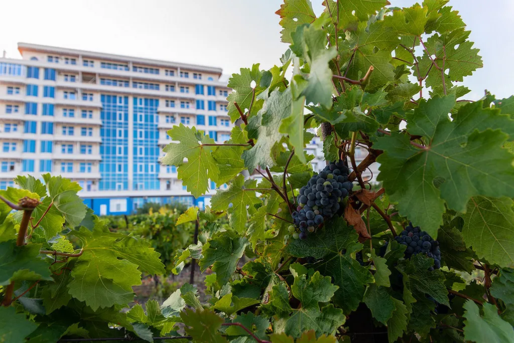 Апартамент в доме бизнес класса