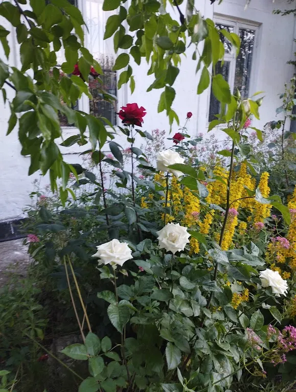 Уютная комната в частном доме