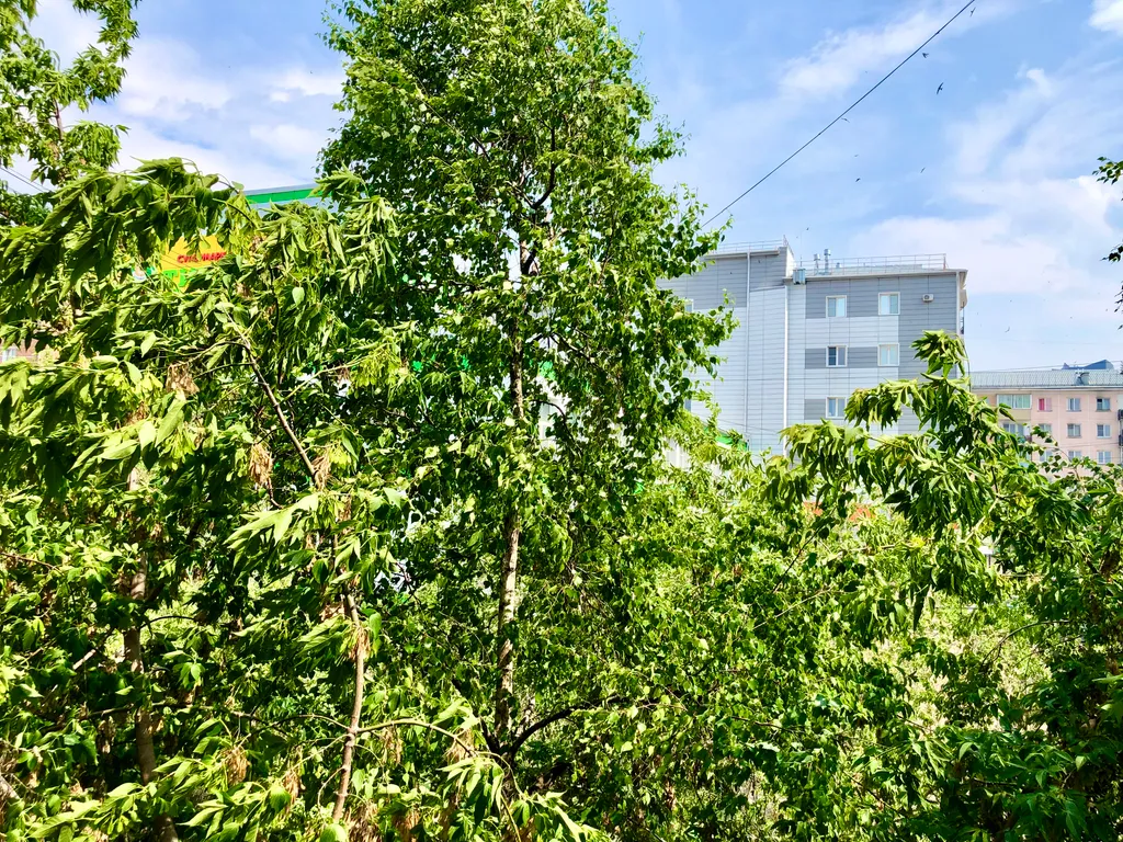 Уютная и по-домашнему чистая квартира в центре города