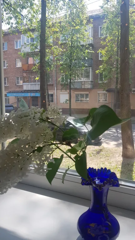 Квартира Квартира Однокомнатная хрущевка — Ярославль