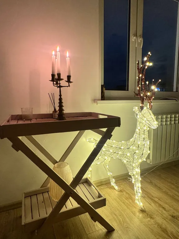 Уютная студия рядом с лесом