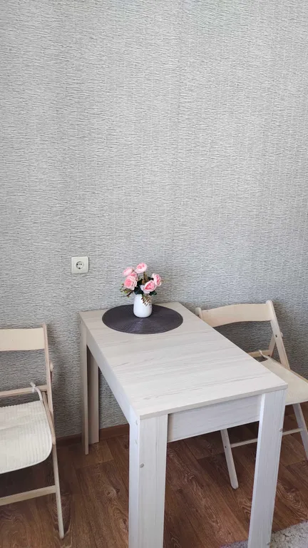 Однокомнатная квартира в центре города