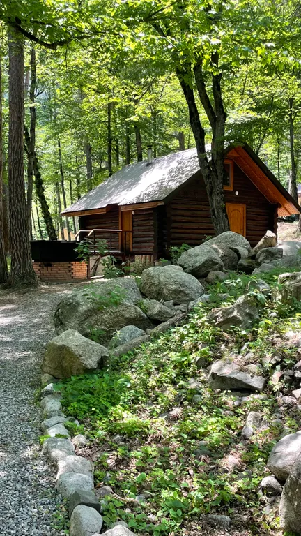 Уютный Дом в лесу с камином.