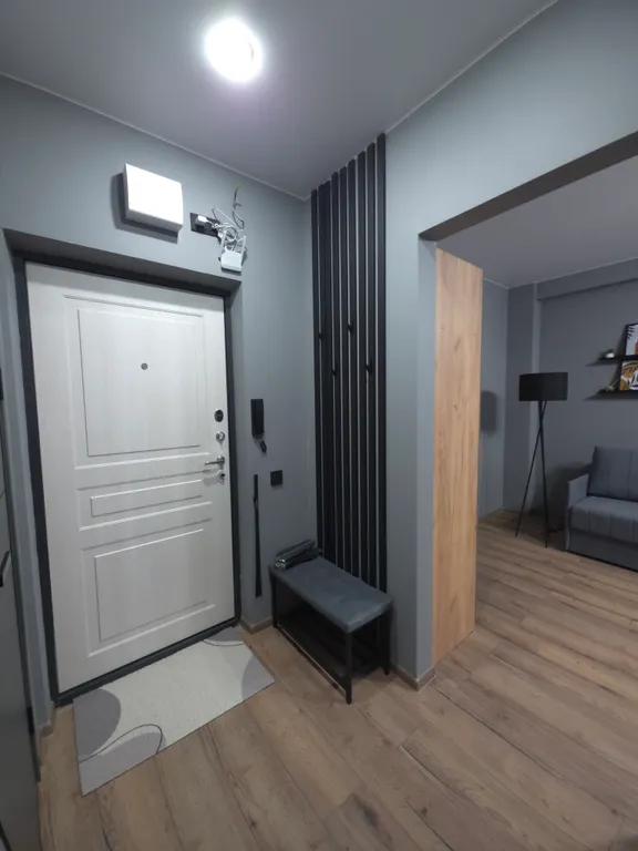 Однокомнатная квартира в современном стиле