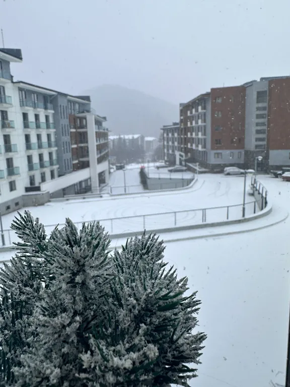 Bakuriani Orbi Palace 458