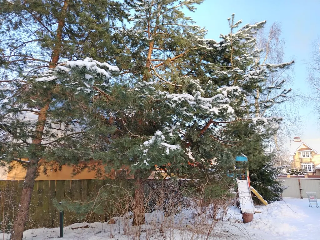 Kомфoртный дом