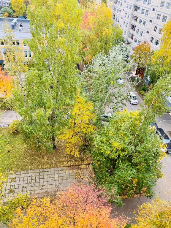 Квартира Квартира с окнами на юг — Санкт-Петербург