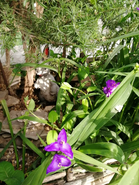 Дом под ключ в тихом и экологически чистом районе Севастополя у моря