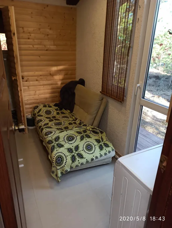 Бунгало в соснах