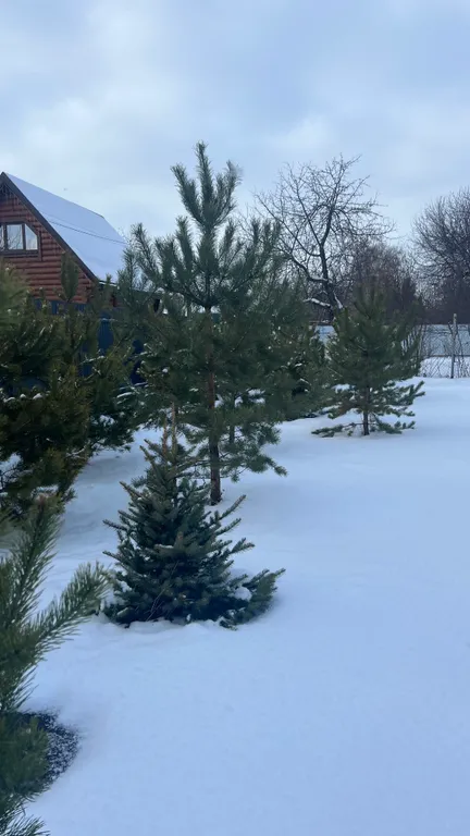 А-фрейм Домик Тамб