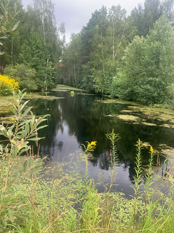 Большой стильный дом с панорамой на сосновый бор в 15км от НН с баней