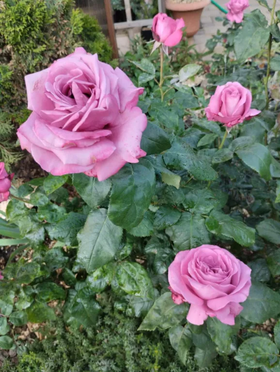 Тихое, спокойное место