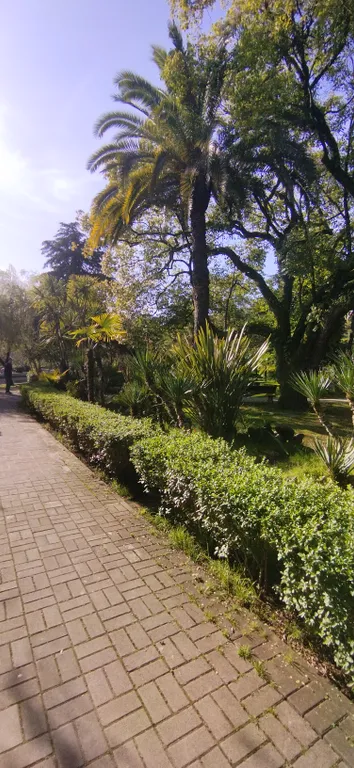 Солнечная Абхазия